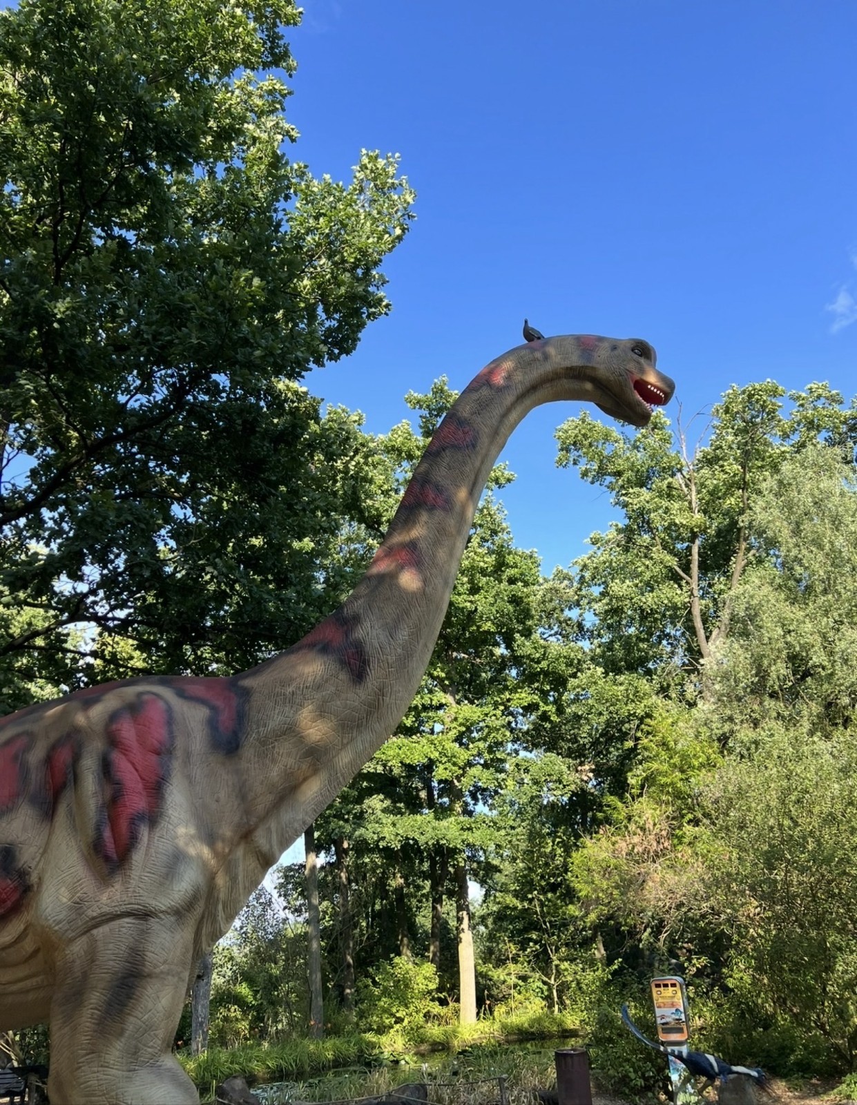 Fotografie podniku DinoPark ZOO Plzeň