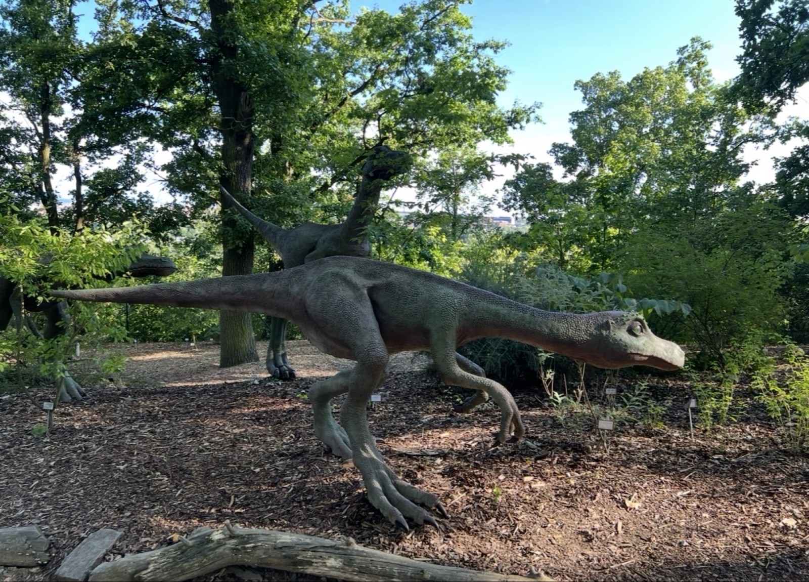 Fotografie podniku DinoPark ZOO Plzeň